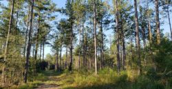 PEARL RIVER COUNTY, MS (1,798 acres) SOLD