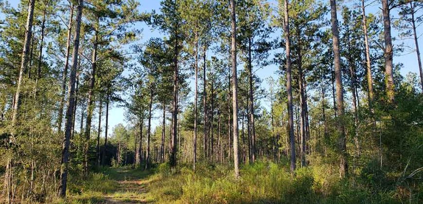 PEARL RIVER COUNTY, MS (1,798 acres) SOLD