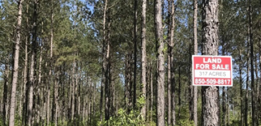 PEARL RIVER COUNTY, MS (317 acres)  SOLD